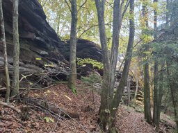 Wanderung Lindelbrunn Nov 2025